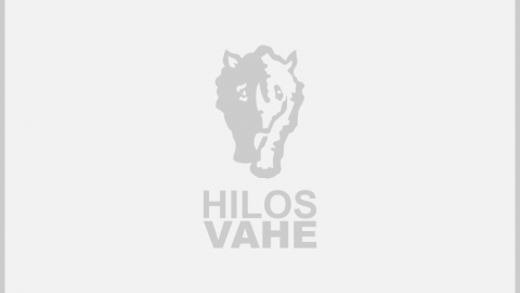 vahe-productos-final